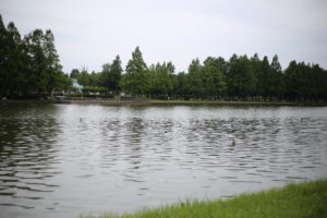 間違えて振り込んじゃった？　両親のこと　後見人を検討中