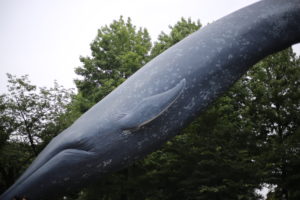 働く会社選びの基準(給与差には理由がある)