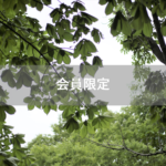 【会員限定】育休中のご相談が多い理由がやっとわかりました。