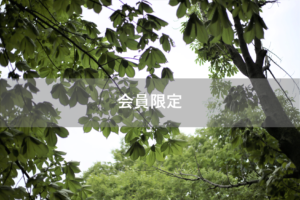 【会員限定】育休中のご相談が多い理由がやっとわかりました。