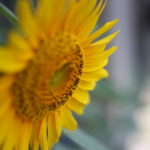 カオスな親子を見て、昔の嫌な記憶がよみがえった