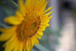 カオスな親子を見て、昔の嫌な記憶がよみがえった