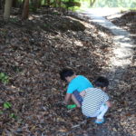 妙に過小評価されていると思う『貯金』という『商品』