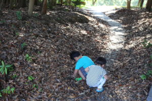 妙に過小評価されていると思う『貯金』という『商品』