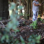 お金持ちになるためには、【罠】にかからないこと