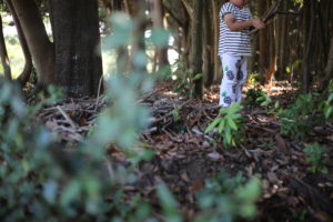 お金持ちになるためには、【罠】にかからないこと