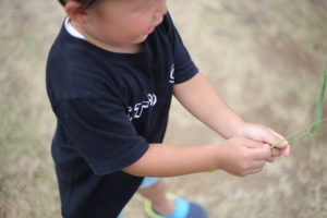 『超』がつくからどんだけすごいのかやってみた。税金の話