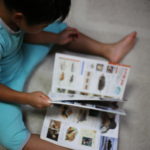 ６歳＆３歳半　レゴデュプロ卒業　子供オモチャの難しさ