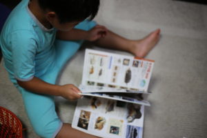 ６歳＆３歳半　レゴデュプロ卒業　子供オモチャの難しさ