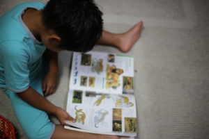 教育費ひとり1千万円？不安になるだけでいまいちピンと来ない理由