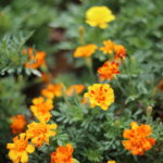 独身会社員時代には見えなかった世界