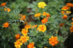 独身会社員時代には見えなかった世界