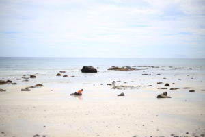 喫緊の課題　地域密着型情報網のアップデート「みんな知ってたの！？」