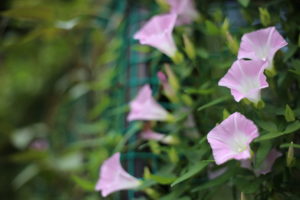 【会員限定】夫の体調不良マウントに無性に腹が立つ理由