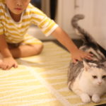 10代の息子に読ませたい『新書』の話　高校生の時なに読んでた？