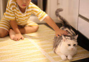 10代の息子に読ませたい『新書』の話　高校生の時なに読んでた？