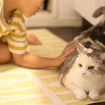 寝てる子がいちばんカワイイ × 2,190日