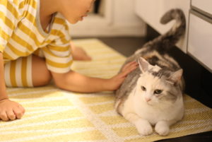 寝てる子がいちばんカワイイ × 2,190日