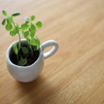 おうちのこと The Latest ここは本当に『手狭』なのか