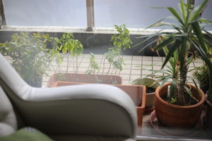 「なにこれ、アレの典型的なやつかっっ！？」子供のためなら死ねるけど