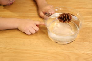 『好きな女子をいじめる男子』という概念の話