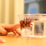 これぞ最強の【時短美容法】続報②保湿編