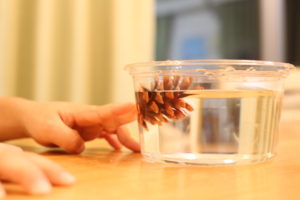 これぞ最強の【時短美容法】続報②保湿編