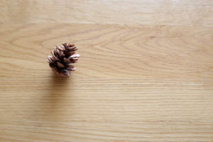 一戸建てはもはや買うものではない？