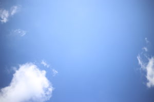 迷ったけど、経過を見ていただいたほうがオモシロイかなと。新店舗オープン