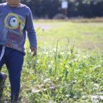 長男がひとりで風呂に入り始めてシャンプーの減りが早くなりました。