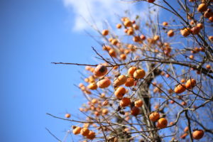 ワーキングマザーの【引け目】