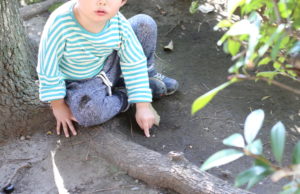 『富裕層の資産運用』が庶民に通用するのか　そしてまたしてもアフィリエイトの『お陰』