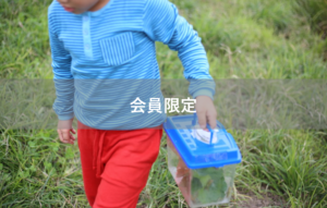 【会員限定】会員限定で公開させて！デキル夫の鬼チャート