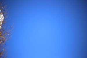 お金から自由になる方法