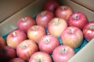 もうすぐ45歳。やっぱりコレが好き。年を重ねるほどに出る気がする『地』