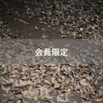 【会員限定】1日3回は『離婚』という文字が頭に浮かんでいた日のこと