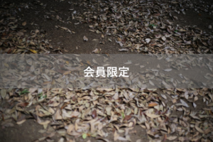 【会員限定】1日3回は『離婚』という文字が頭に浮かんでいた日のこと