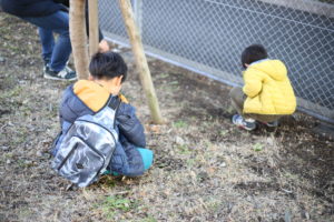 『脱アマゾン』ではありませんが最近気を付けています。