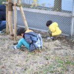 テレビを見せずにどこまで行けるか。現在6歳＆4歳