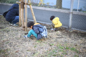 テレビを見せずにどこまで行けるか。現在6歳&4歳