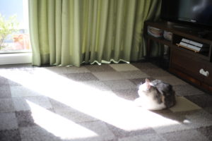 夫婦はトンマナが似てしまうという話