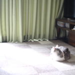 ワーママの辛さのひとつを体感しているパパも多いのでは？