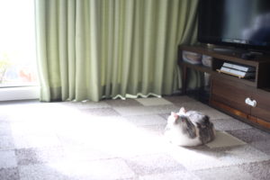 ワーママの辛さのひとつを体感しているパパも多いのでは?