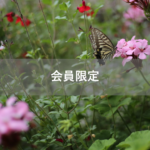【会員限定】俺は『我慢する』のが大嫌い-2