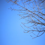 お金の話って楽しいよ?でもそれはアレかな 年のせいかな