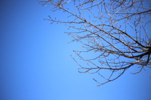 女だけの街で暮らしたい。