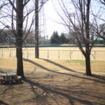 究極、最強の【お金を貯める極意】も【節約】も、つまり〇〇に目を向けることなんだね