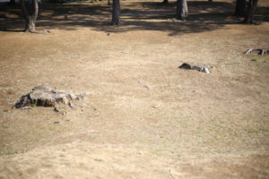 お金と人生攻略の必勝法　わかると思うけどかなりシンプル