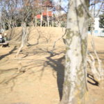 【いまがツライ女性】と【後がツライ男性】~いまの時代が異常だと思う~