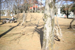 【いまがツライ女性】と【後がツライ男性】～いまの時代が異常だと思う～